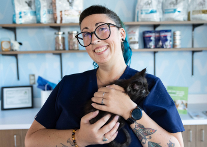 Vet-Assistant