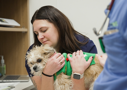 Vet-tech