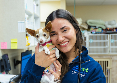 Veterinarians