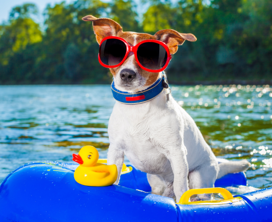 WellNowMobileThumbnail6