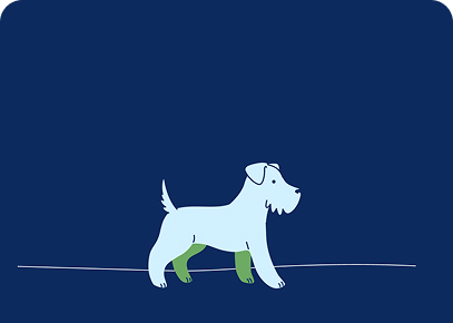 dog1