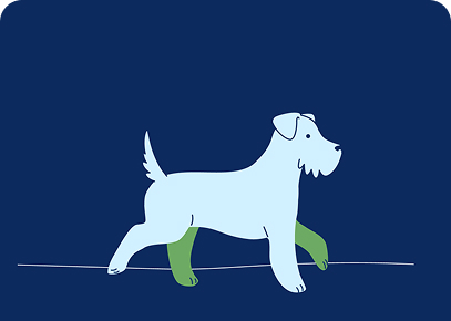 dog2