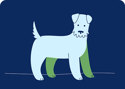 dog3