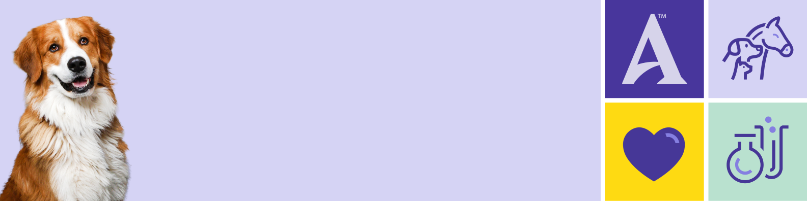 2026-26-25_antech-career-site-banner_corp-functions