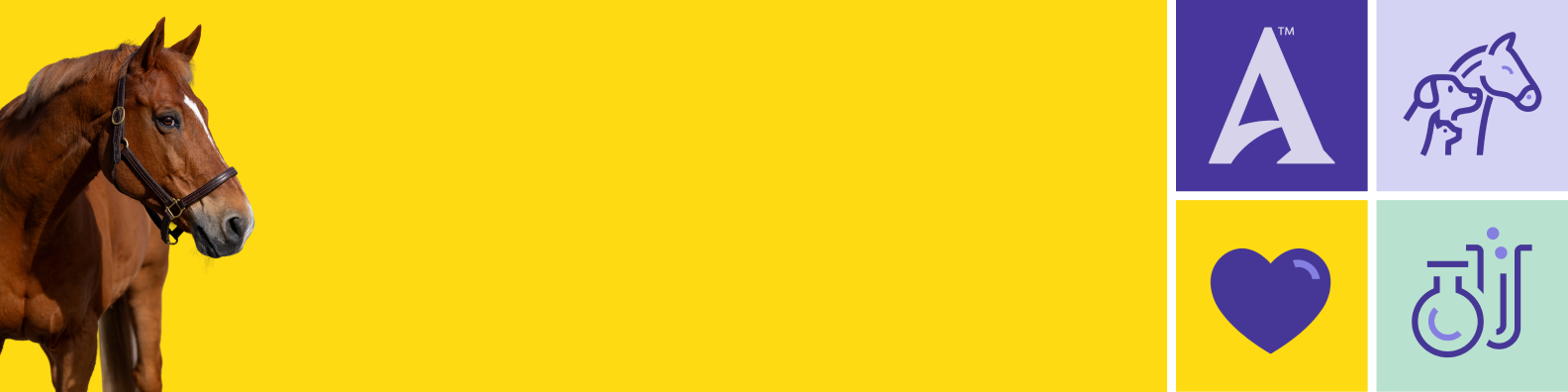 2026-26-25_antech-career-site-banner_sales-marketing