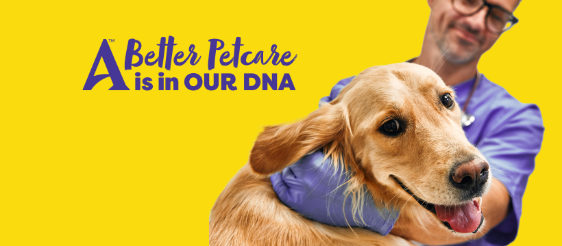 Facebook_cover_dog
