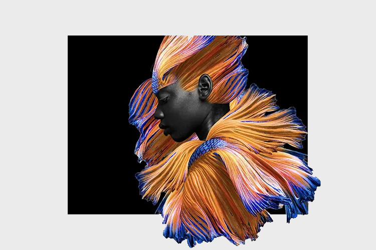 Untitled7