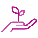 Icon - Ascension - Growth and Development - Illustration outline of a hand holding a seedling