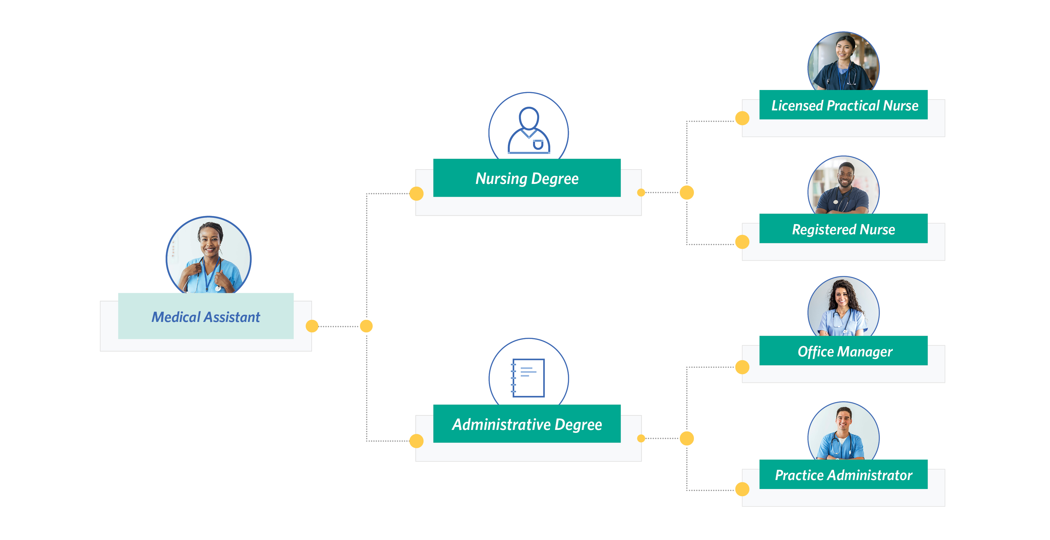 Infographic - Ascension Physician Support - Medical Assistant career path choice outline
