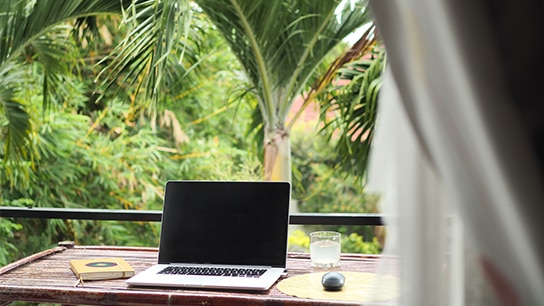 Laptop, Buch und Maus stehen auf einem Tisch und im Hintergrund sind Palmen zu sehen 