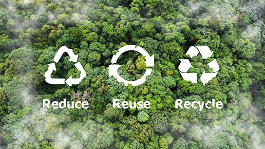 Wald mit vielen Bäumen und dem Schriftzug EReduce, Reuse, Recycle