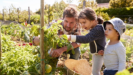 Familie im Garten