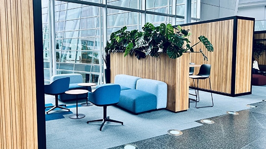 Stylisches Bürogebäude mit Pflanzen, blauen Sofas und Hochstüheln