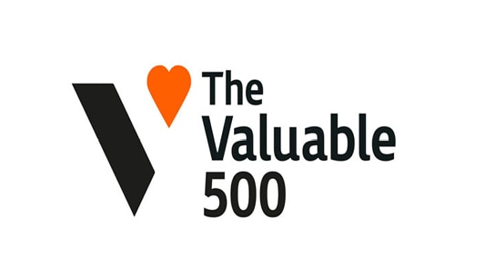 The Valuable 500