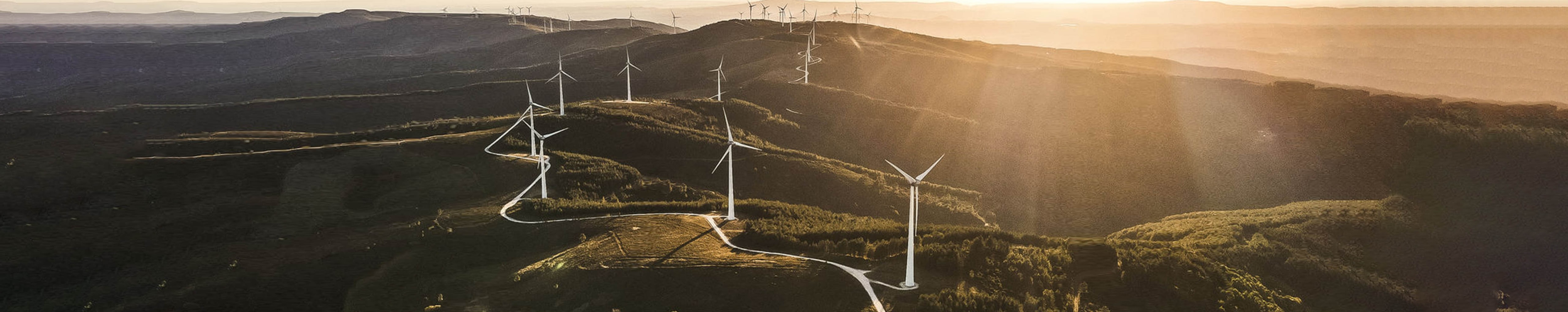 Wind mills during sunset