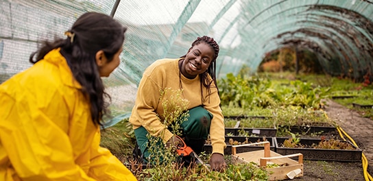 Two happy farm workers talking to each other in a greenhouse