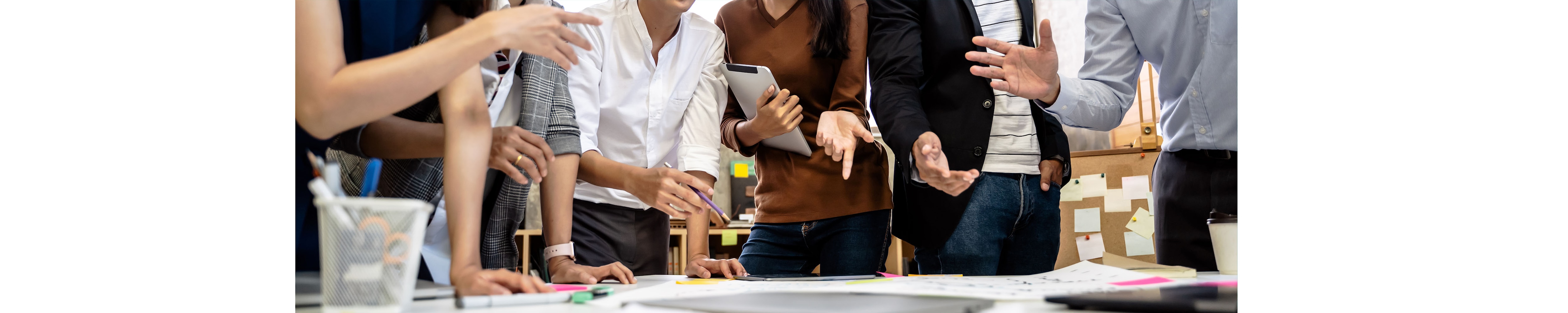 Austria_WerWirSind_Infographic8