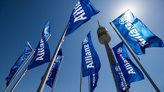 Allianz flags