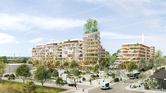 Rear view of green buildings