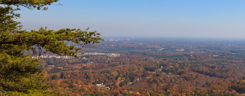Gastonia3