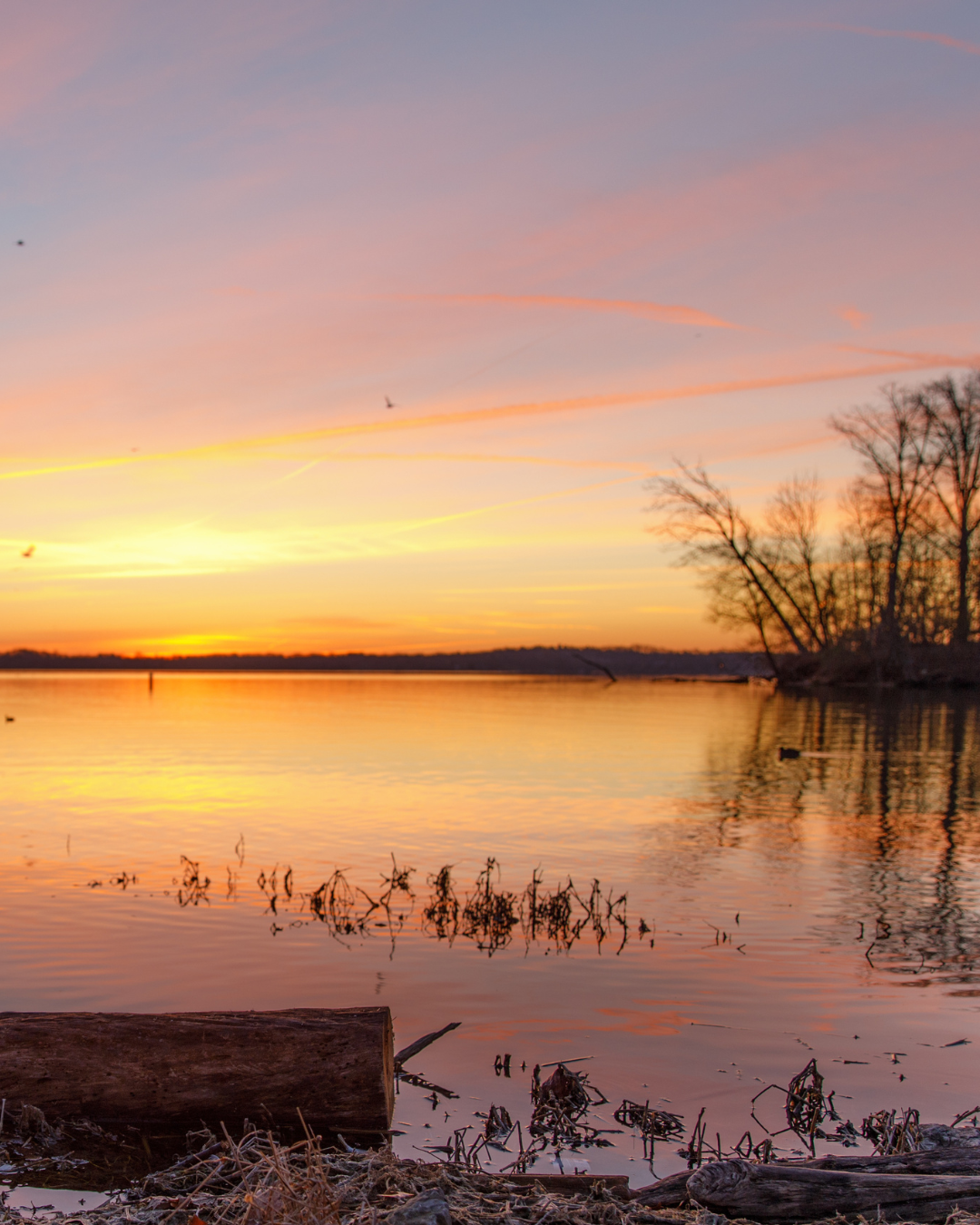 Hendersonville3