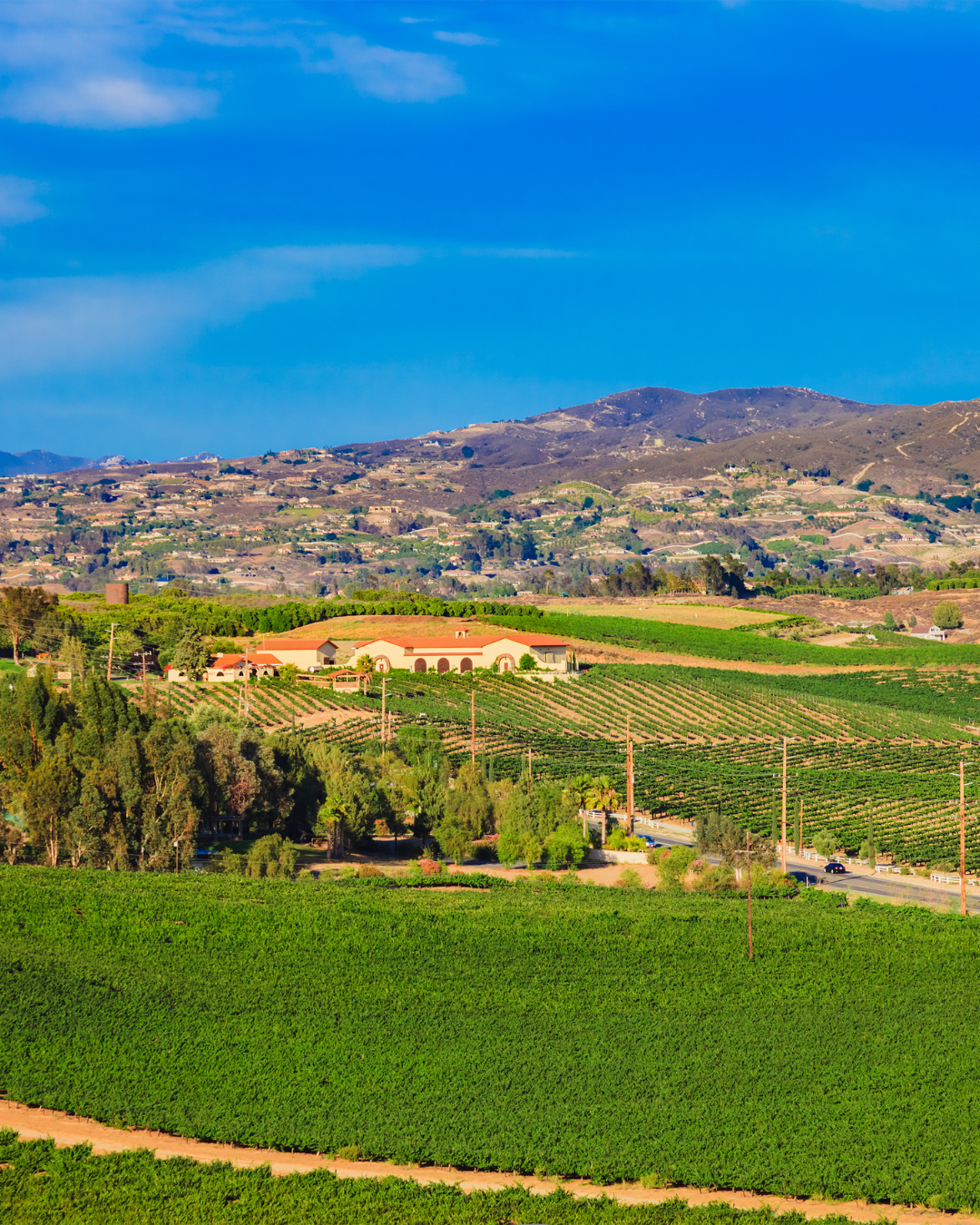 Temecula2