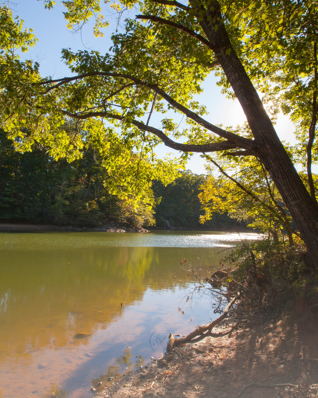 huntersville2
