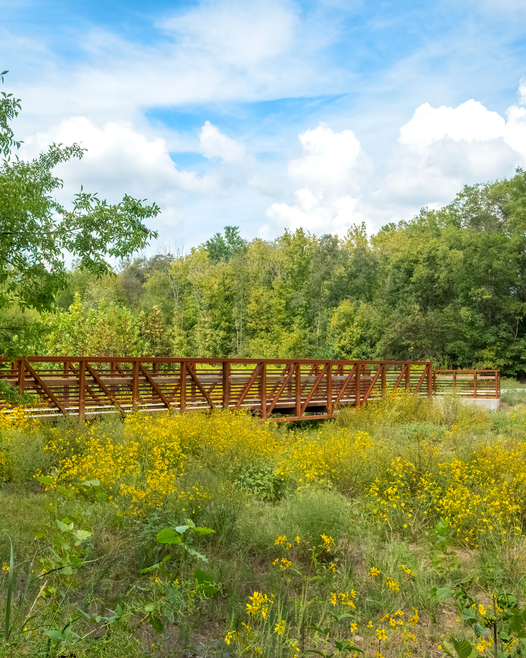 huntersville3