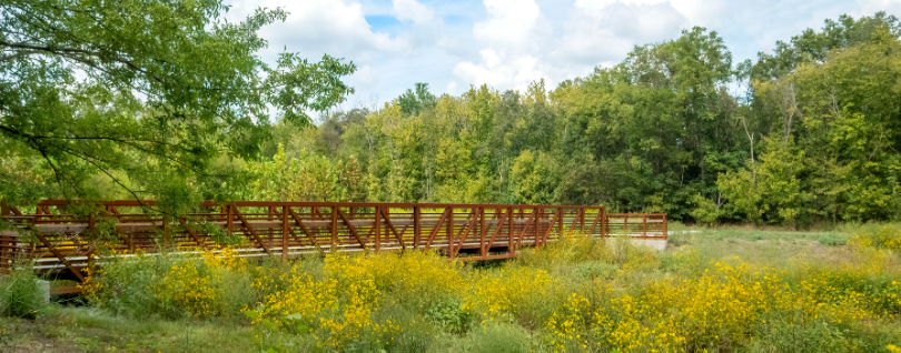 huntersville4