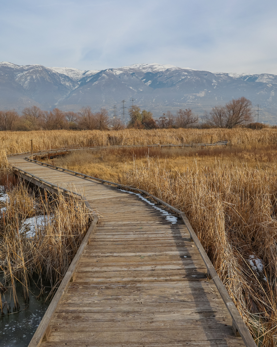 kaysville2