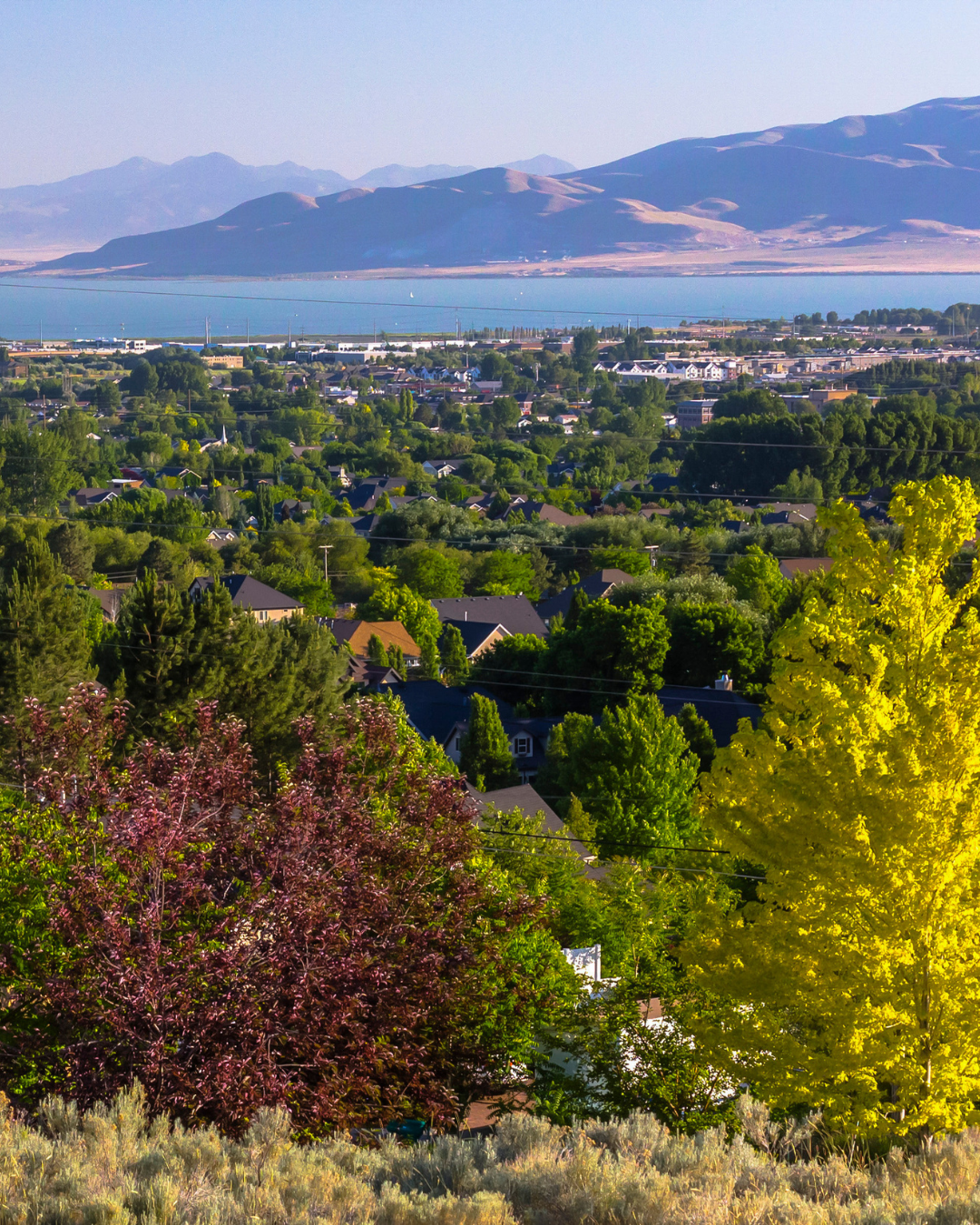 orem3
