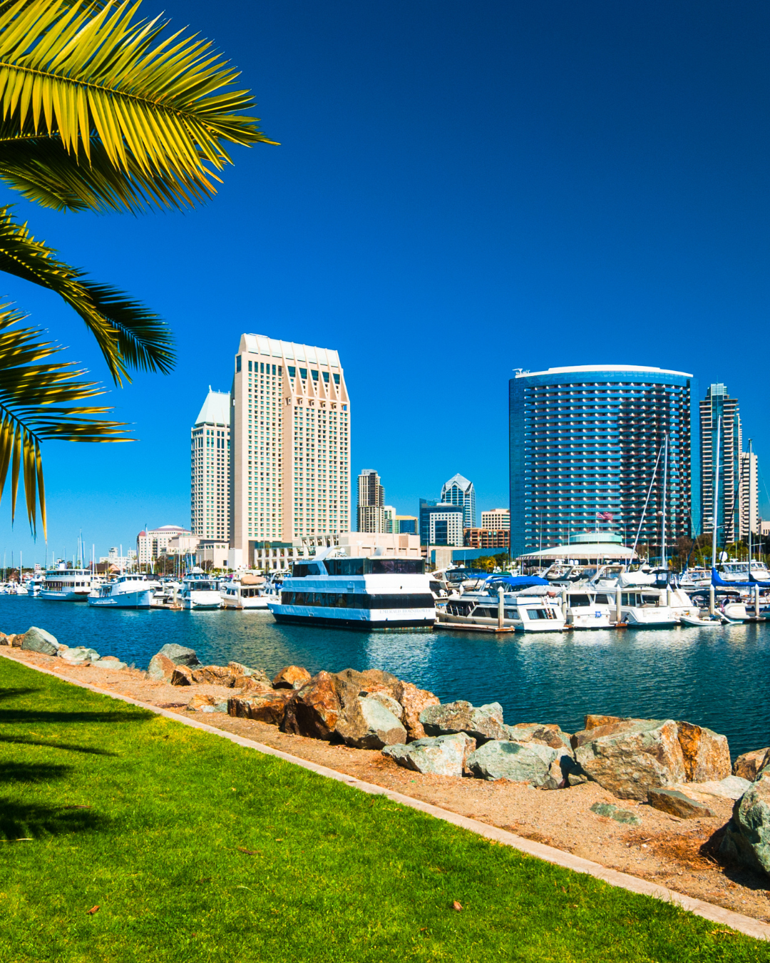sandiego3