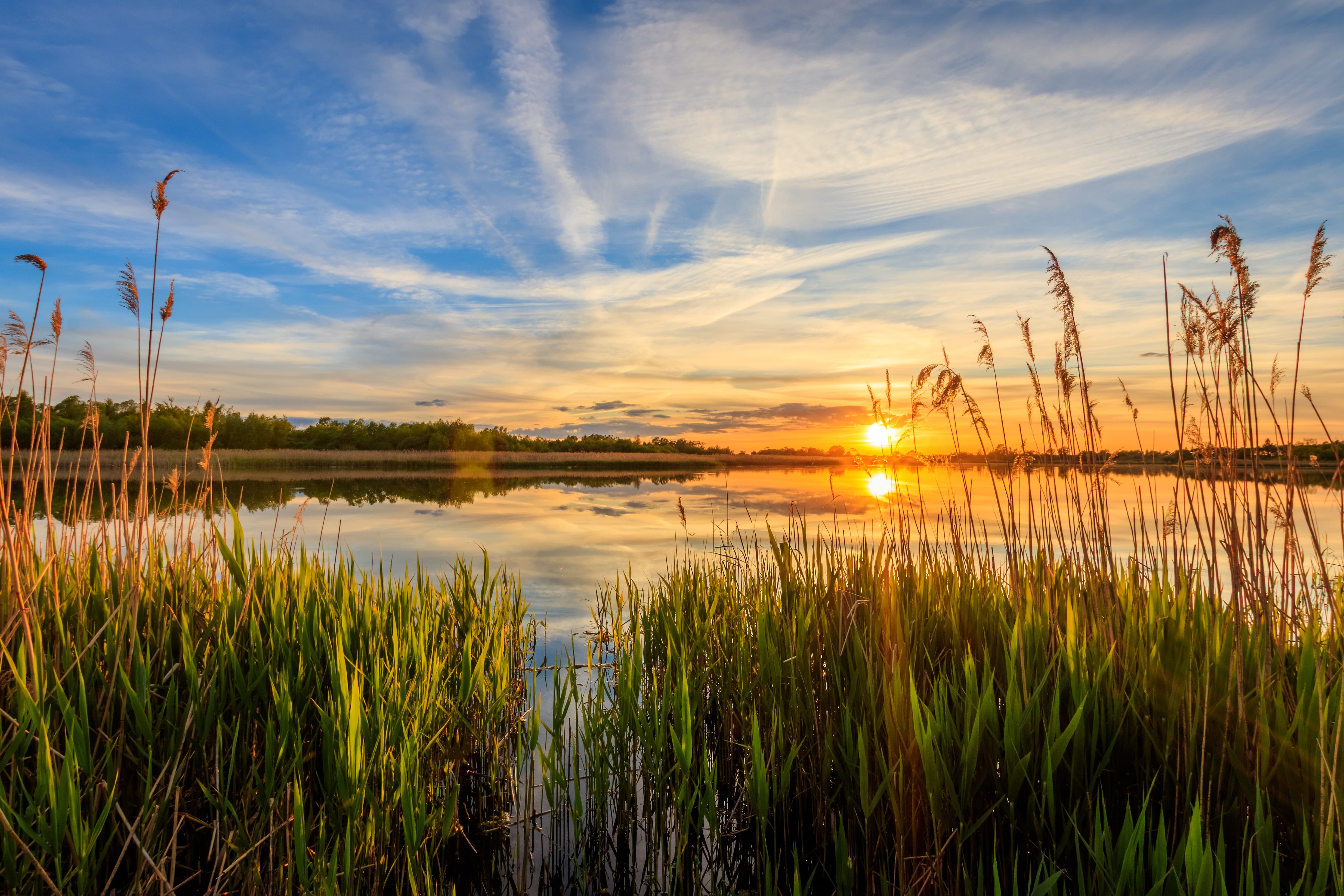 AdobeStock_1572954171