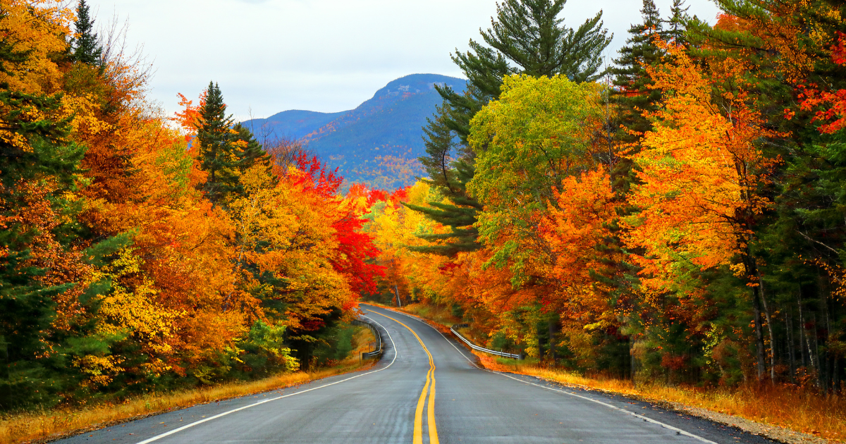 Autumn in New Hampshire.