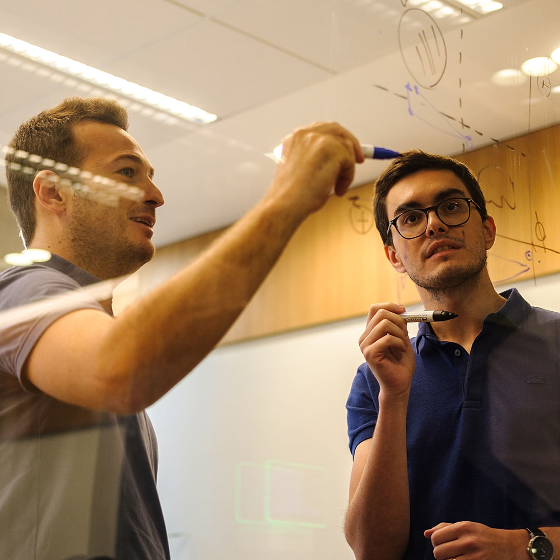 BRA_–_Cezar_Trotta__Fleuri_Arruda1