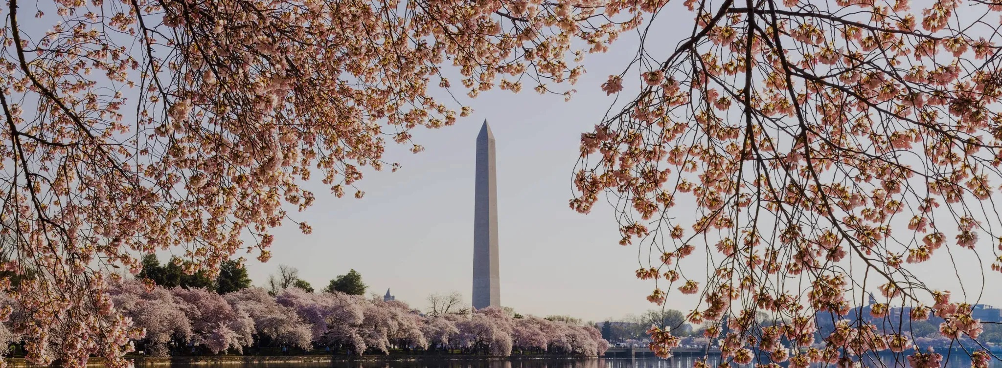 DC