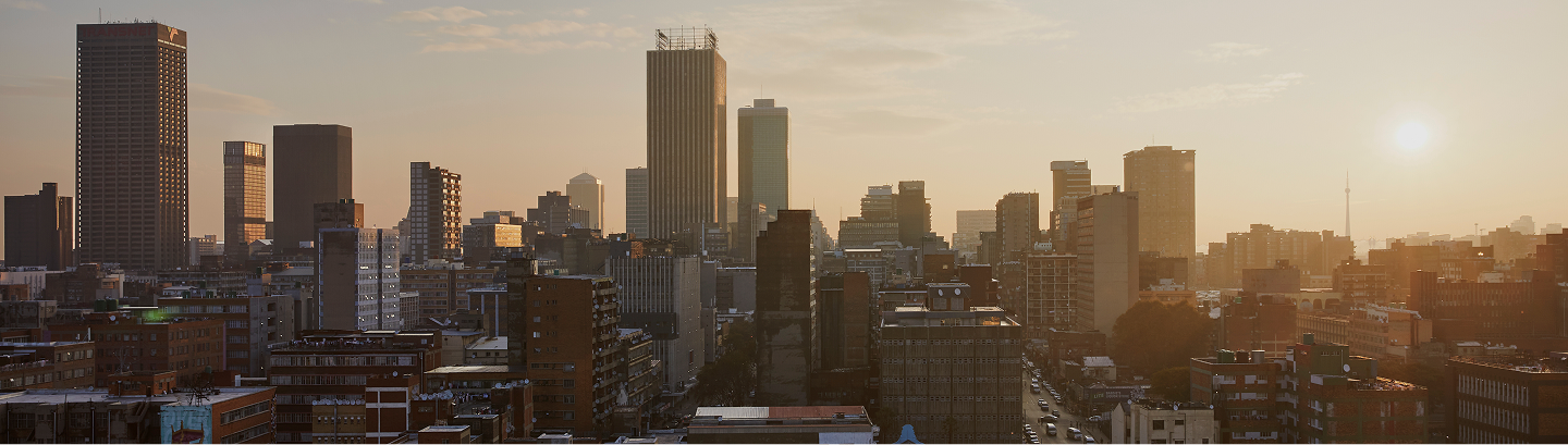 Johannesburgcityscape31
