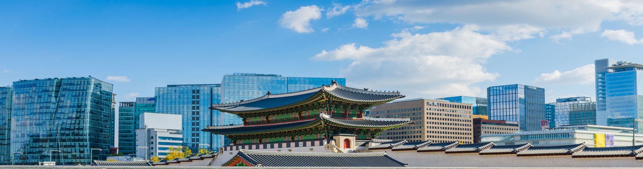 korea-landingpagetoppicture