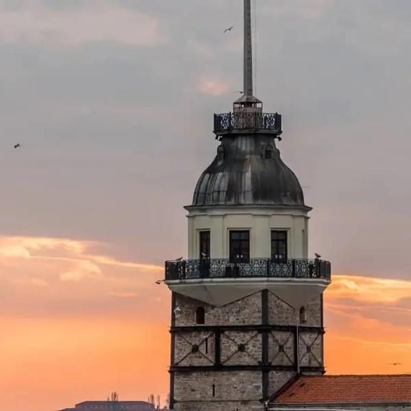 turkey_600x600_cropped