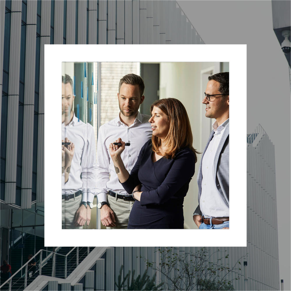 websiteasset_TourAMS