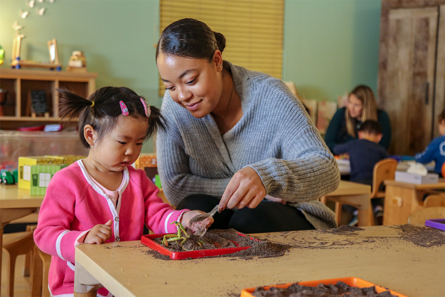 Adult and child working with soil and plants at a table.