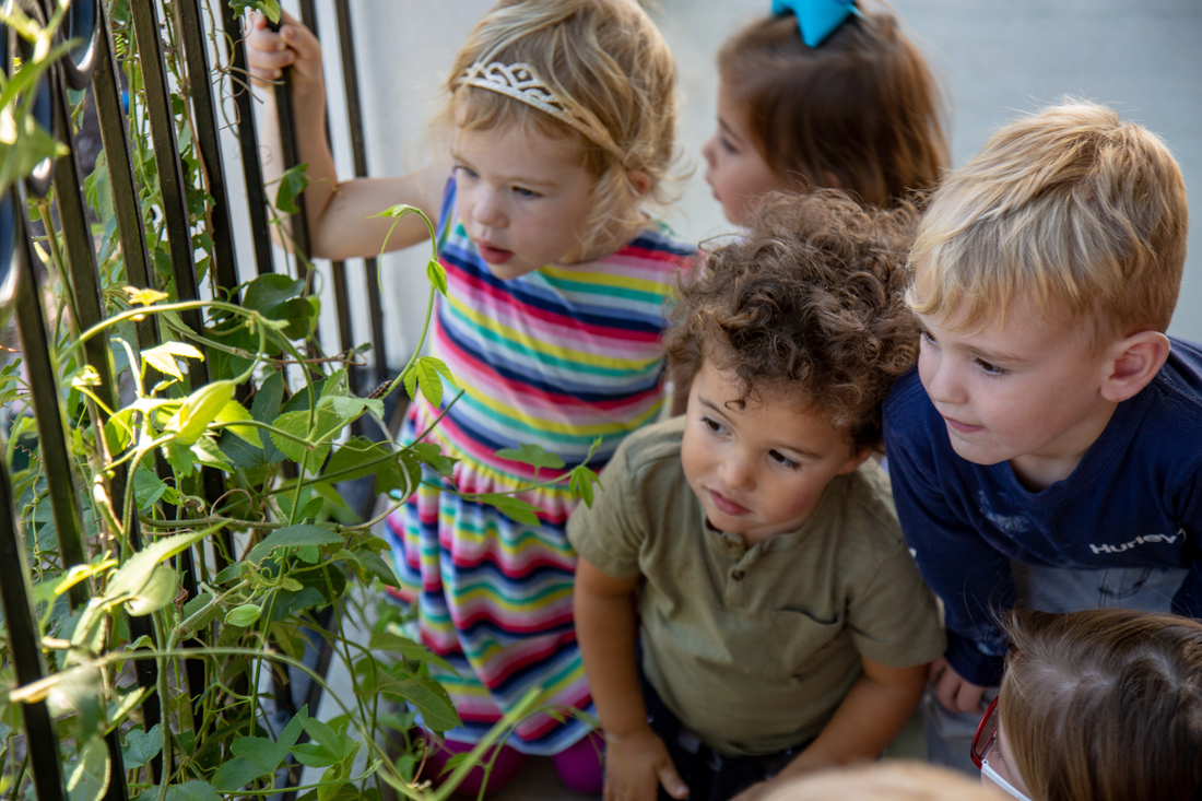 Children gathered together exploring plants during a camp activity.