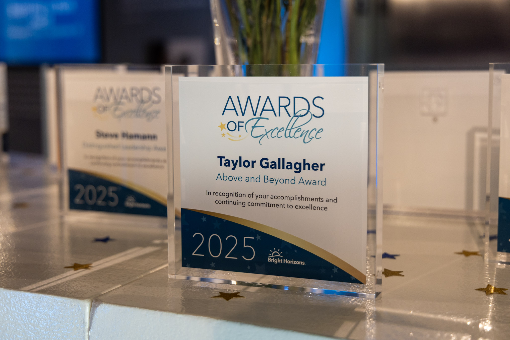 Awards of Excellence plaques displayed on a decorated table.