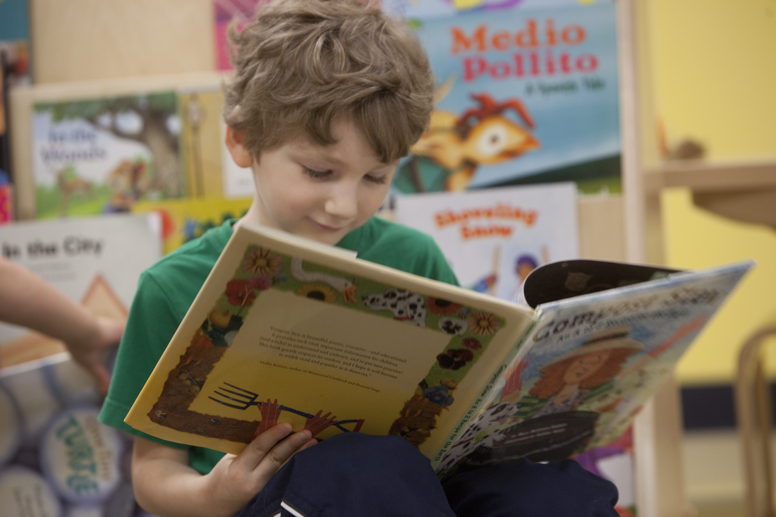 Kindergarten student reading book in classroom setting 