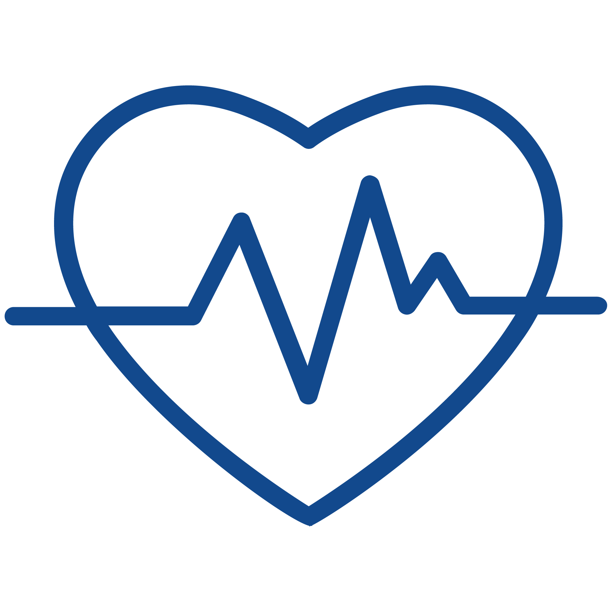 Blue heart icon with an ECG heartbeat line across the center, representing health or medical care.