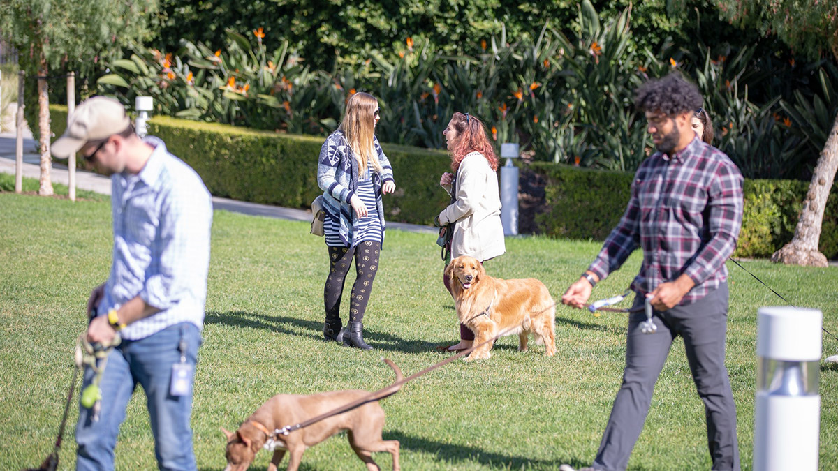 img1