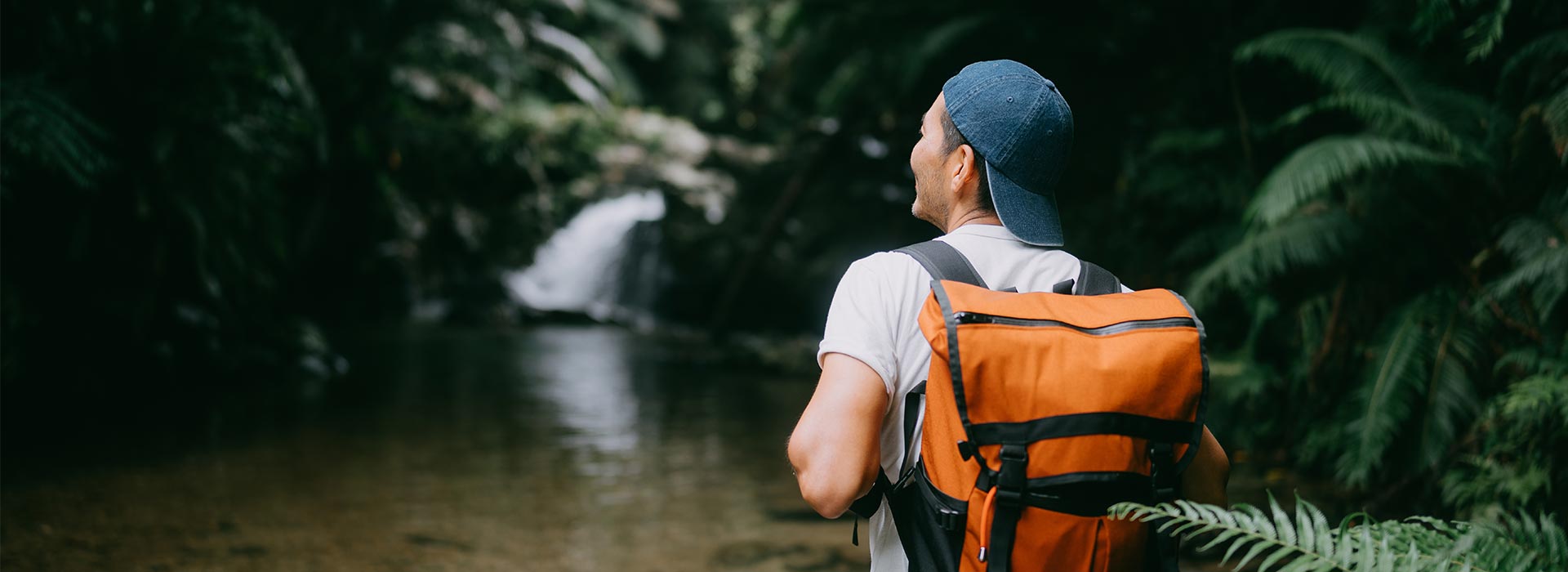 hiking-in-the-jungle