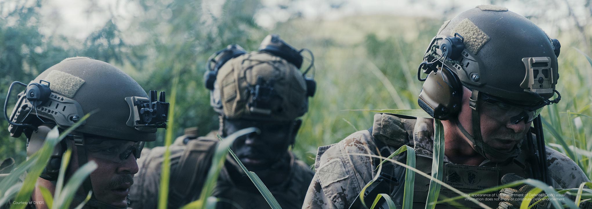 soldier-in-tall-grass-2041x720