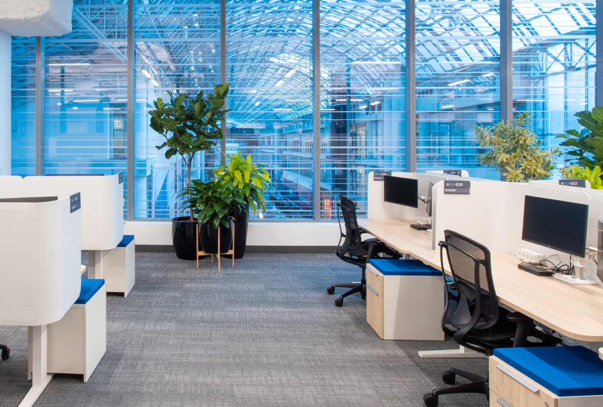Corporate-Areas