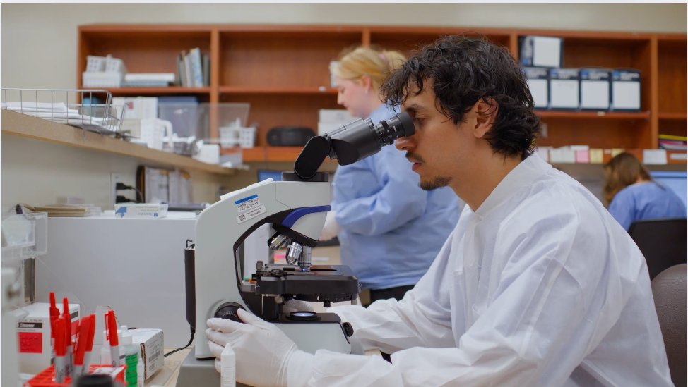 BSMH-Day in the life - Laboratory Pathways